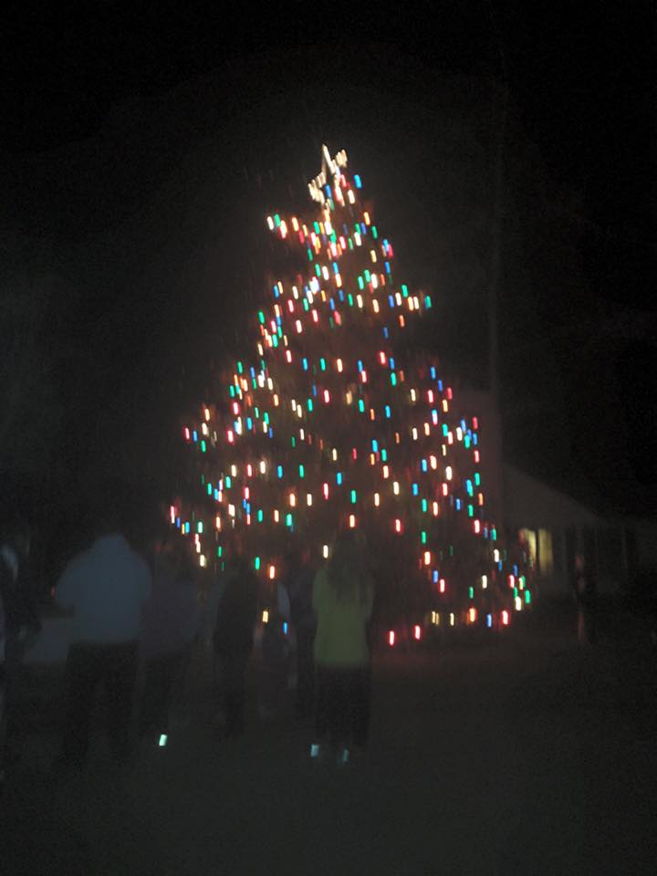 Lighting of the Christmas Tree 2015